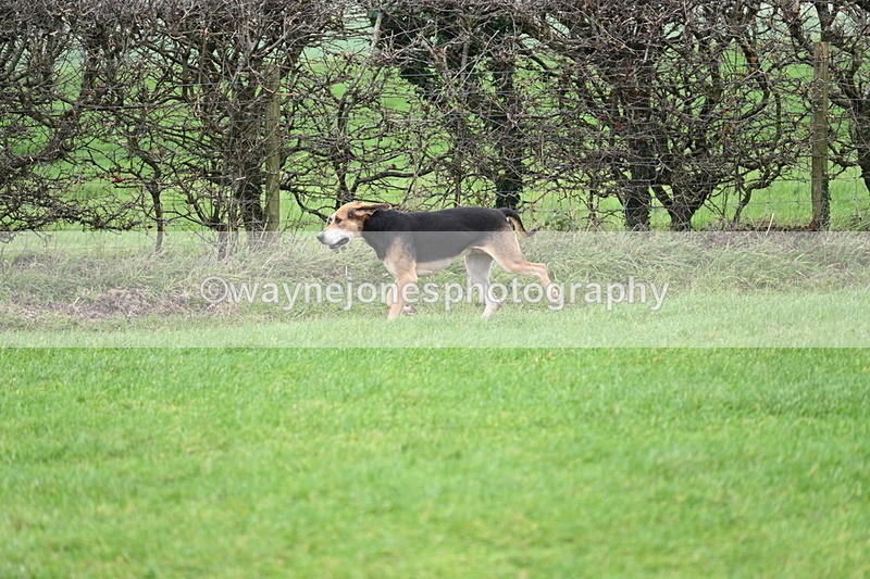 WJ7_8934 - Camera A
