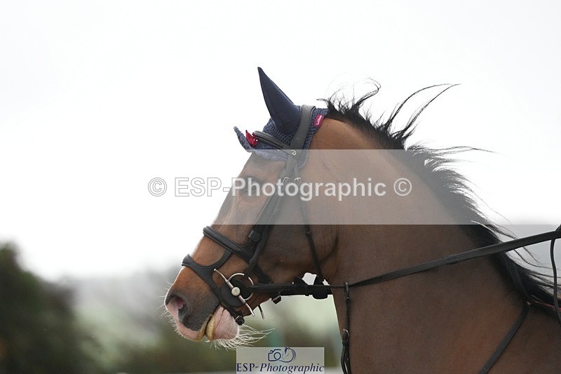 251107-135600-01280 - Cls 6 Foxhunter and 1.20m Open