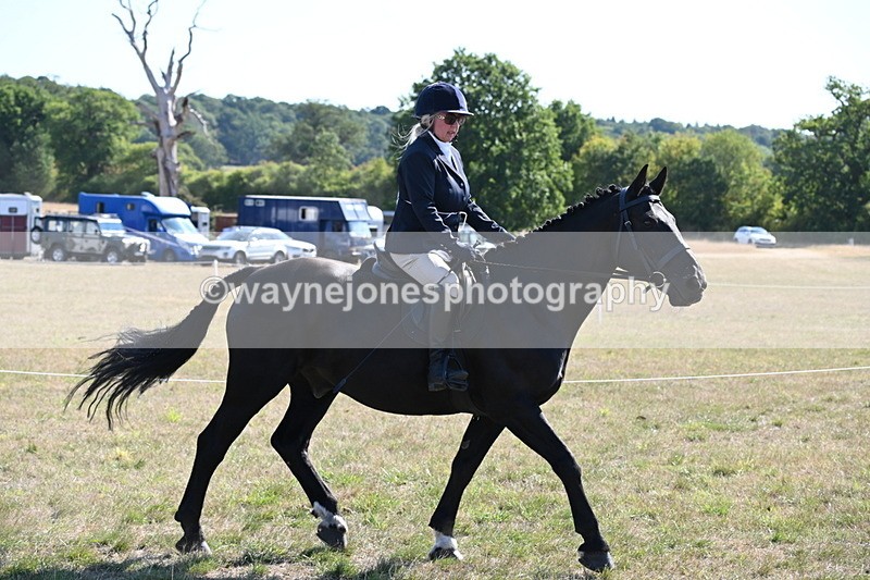 WJ6_7474 - Class 34 Judges Choice