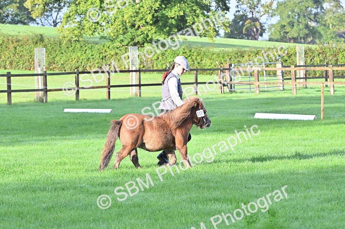 SBM_32579 - S15 - Top Turnout In Hand