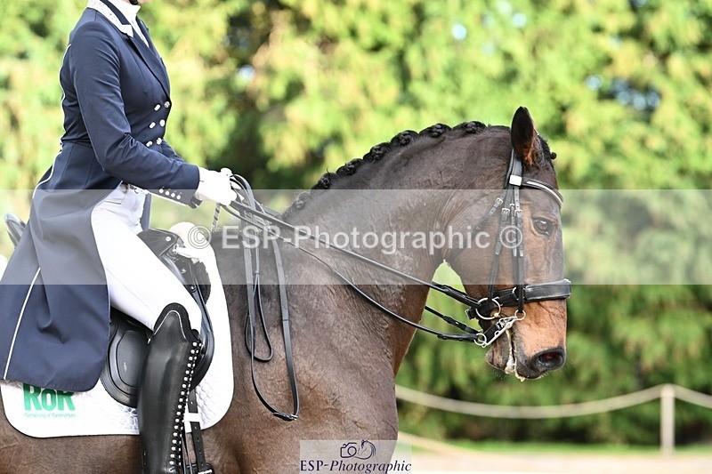 231110-152614-02183 - Cls 11 FEI PSG