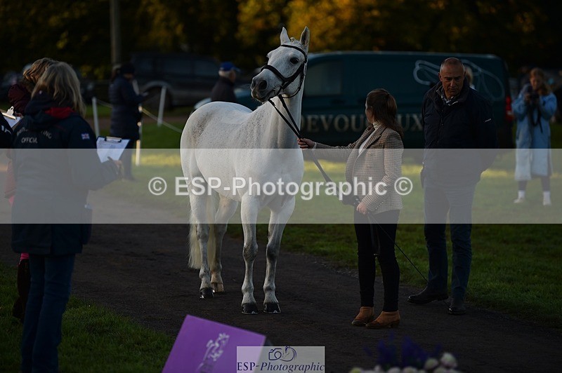 231022-083248-21219 - 659-MACS.BOY-Daisy.Fulton-TrotUp+SJ