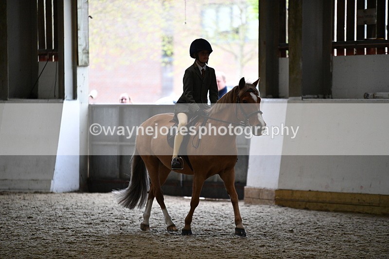 WJ5_6808 - Class 10 Childs Pony
