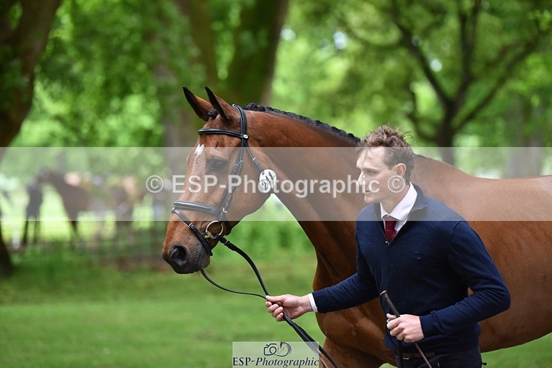 240522-170926-01425 - 241-CLASS_ROMANCE-Jack_Pinkney