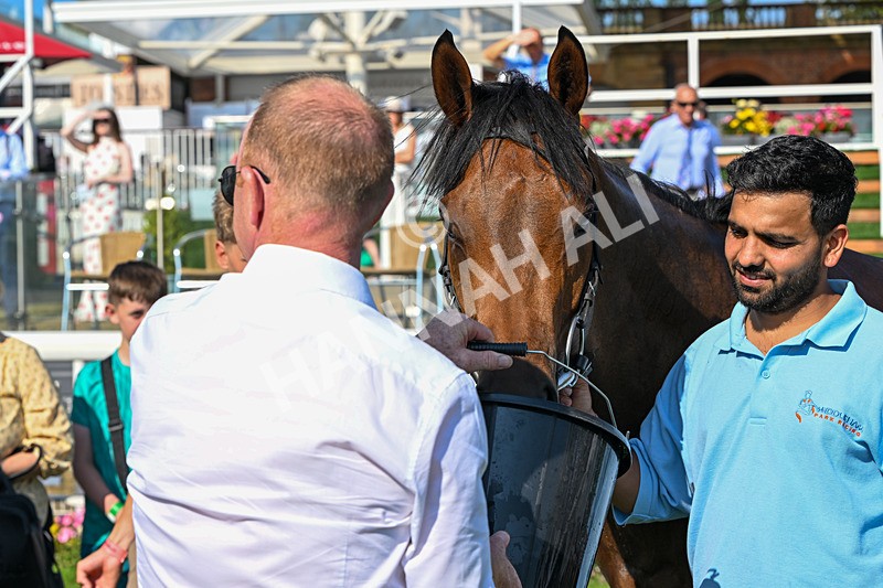 100726-Race 6-Ziggys Triton-0829 - Race 6 17.05pm William Hill Keep Your Raceday Positive Handicap