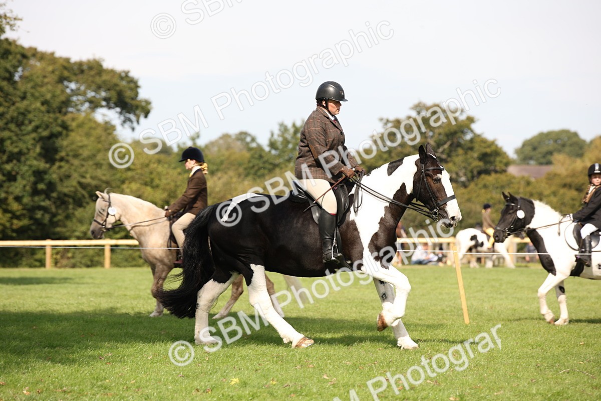 SBM_70078 - S65 - Piebald & Skewbald Horse Ridden