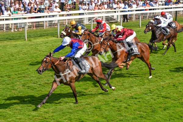 160623-Race 5-Harvanna-6380 - Race 5 4.10pm Juddmonte British EBF Fillies' Restricted Novice Stakes