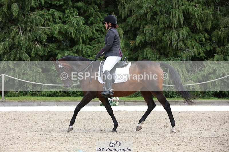 230812-135750-04354 - Cls 5 Novice Bronze 13.40 to 14.45 break