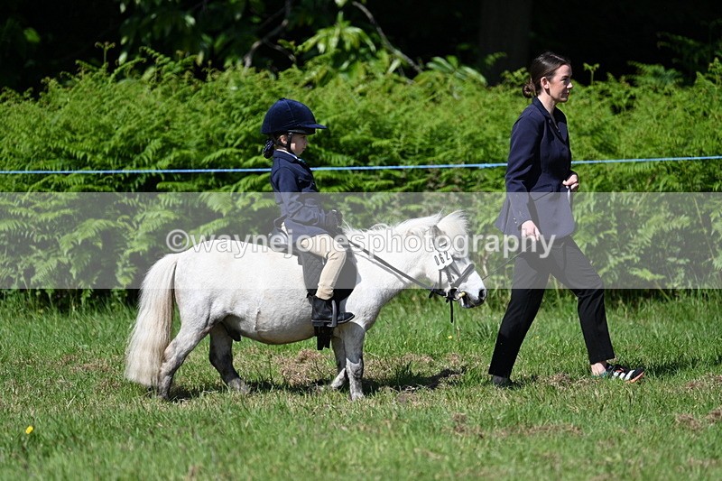 WJ7_0749 - Class 8 First Rally Pony
