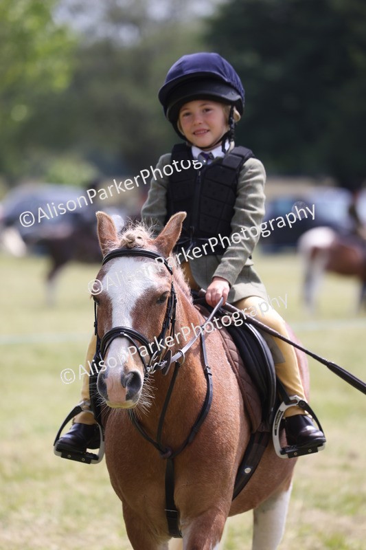 20260614-2025 - Class 21 - Novice Working Hunter Pony