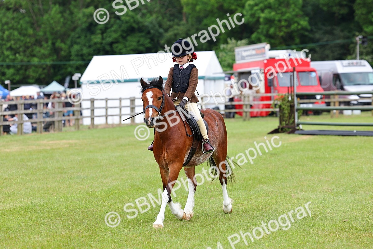 SBM_08779 - Class 42-43 - LIHS BSPS Heritage Working Sports Pony