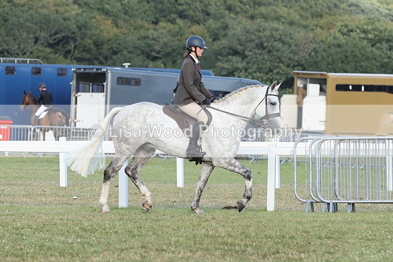 JPP_3516 - Class 22: Working Hunter 90cm