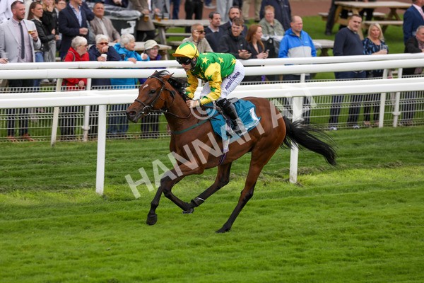 120724-Race 3-Royalty Bay-1686 - Race 3 3.15pm William Hill Keep Your Raceday Positive Irish EBF Fillies' Novice Stakes