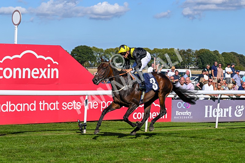 220926-Race 2-Bayraktar-3174 - Race 2 2.05pm Old Gravel Pits Lodges EBF Novice Stakes