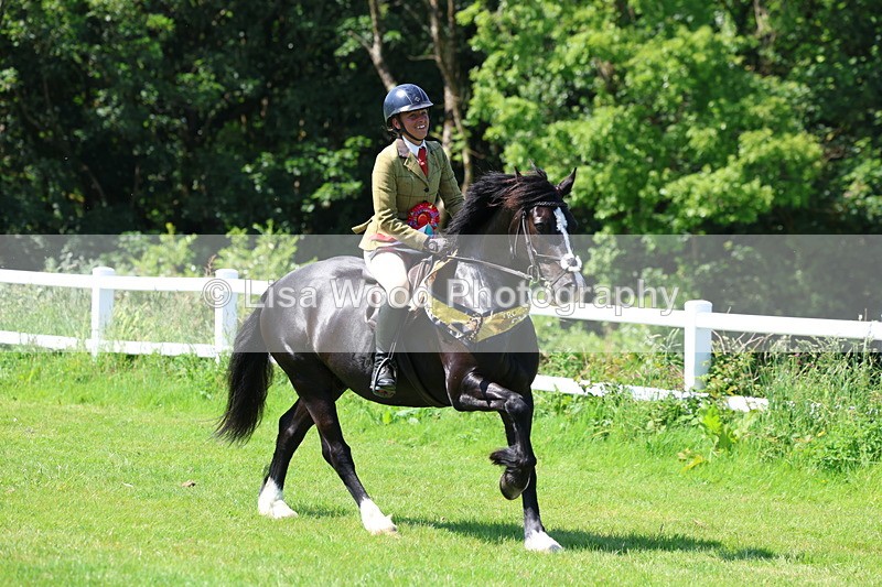 3E7A6843 - Working Hunter Pony Championship