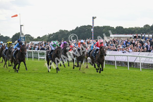 230824-Race 4-Bradsell-9397 - Race 4 3.35pm Coolmore Wootton Bassett Nunthorpe Stakes