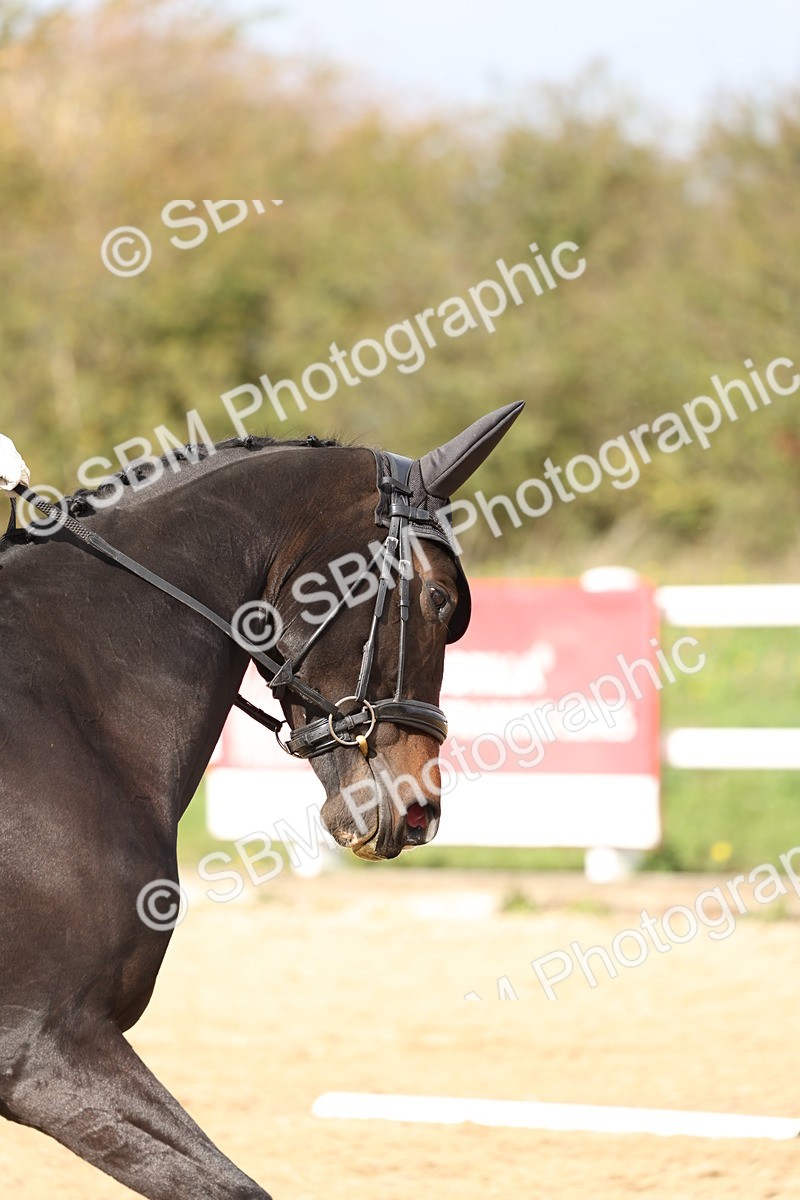 SBM_002075 - Class 5 - Elementary 4