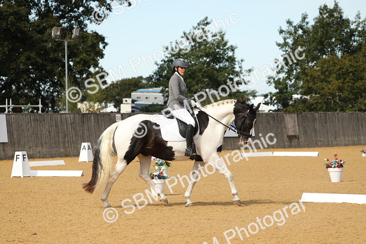 SBM_22249 - D17 - Grand Tour Championship - Novice 27
