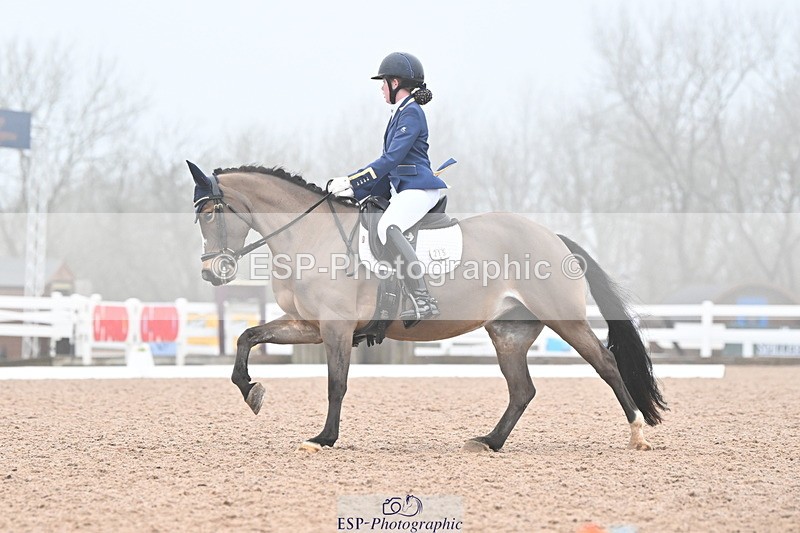 240217A-093105-00379 - 215-Olivia.Luscombe-Caederwin.Lady.Elinor