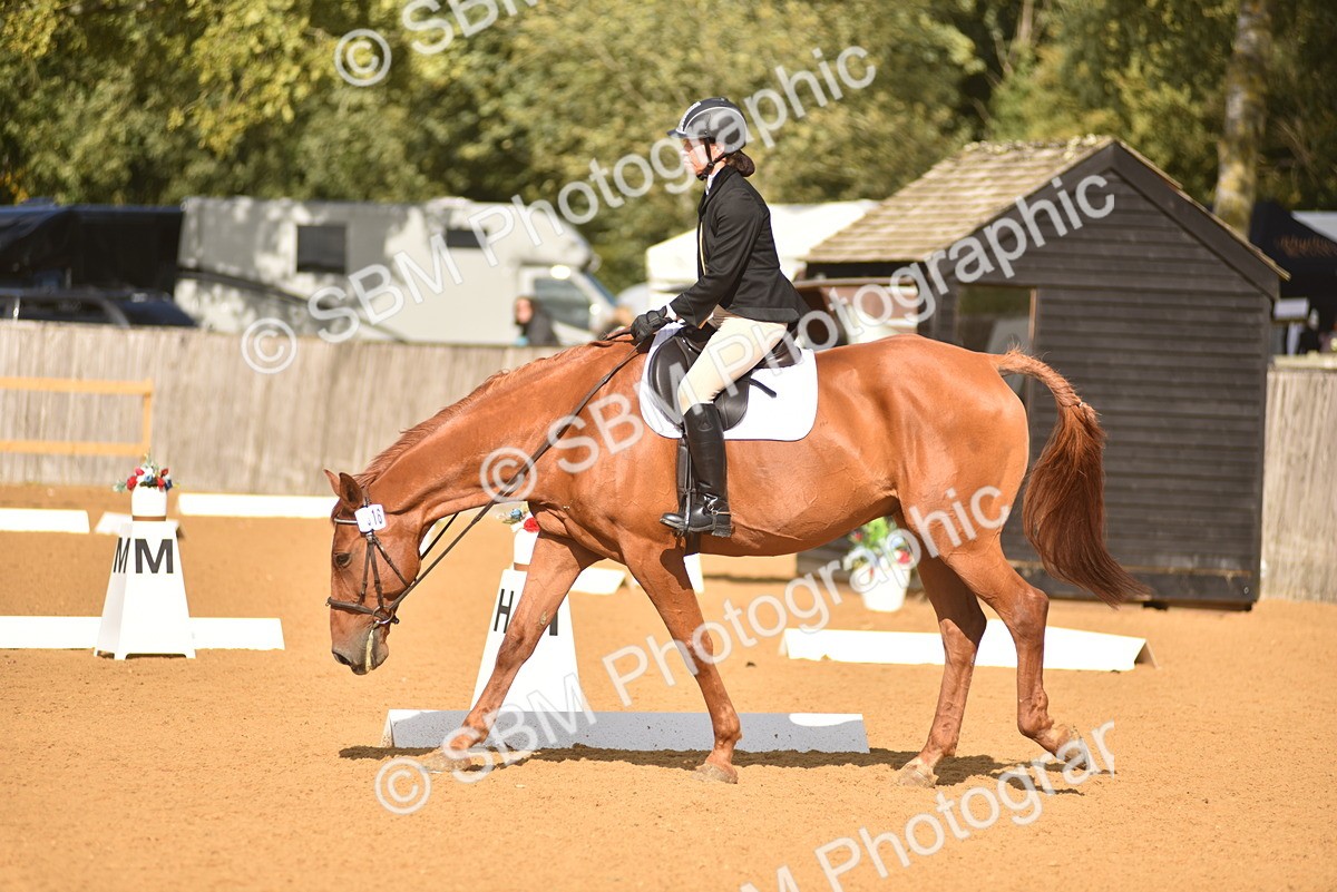 SBM_24246 - D4 - Small Tour Championship Intro 4