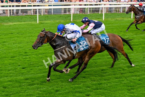 250725-Race 4-Dicko The Legend-0630 - Race 4 7.13pm Tomahawk Restaurants Handicap