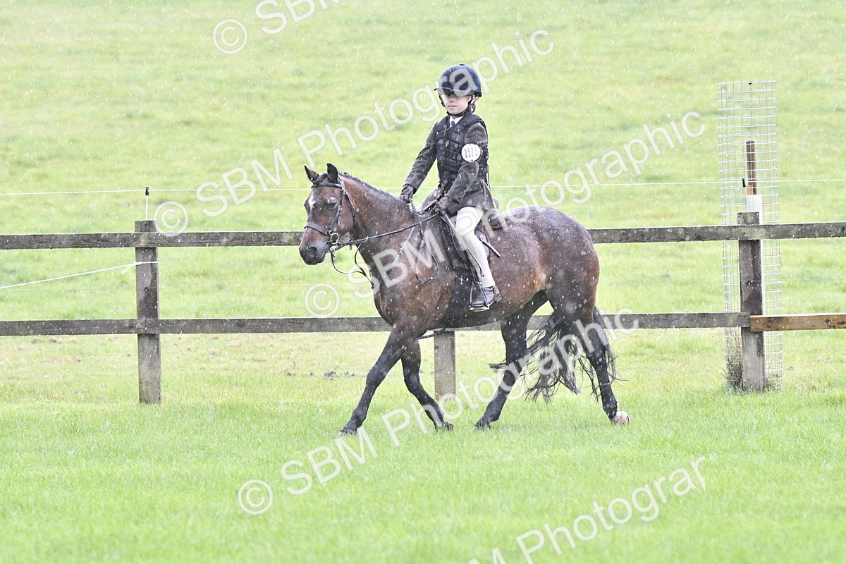 SBM_35524 - S30 - Nursery Stakes Working Hunter Pony