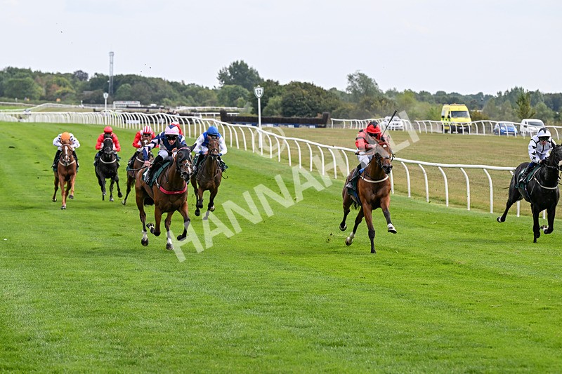 260826-Race 1-Mugheer-2123 - Race 1 14:15 Yorkshire Dales Distillery / EBF Restricted Maiden Stakes