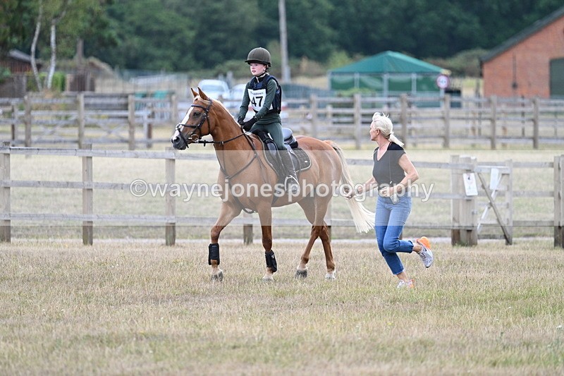 WJ7_1646 - 60cm Time 13:20 to 14:27