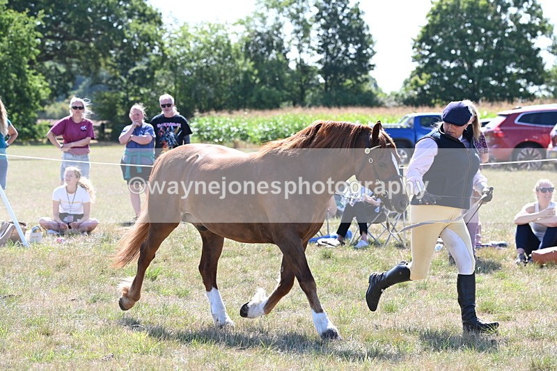 WJ6_4843 - Class 17 Mountain & Moorland