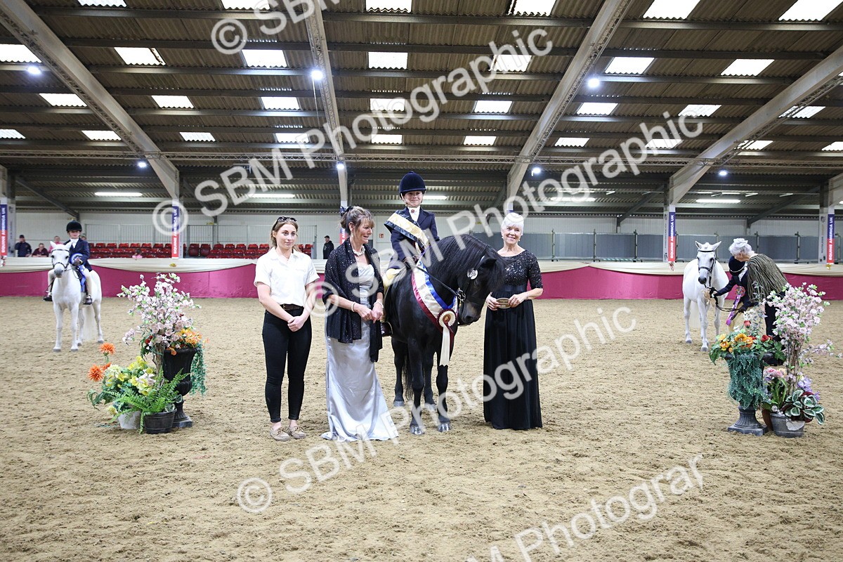 SBM_18501 - Class A Junior Champ 10 Years and Under