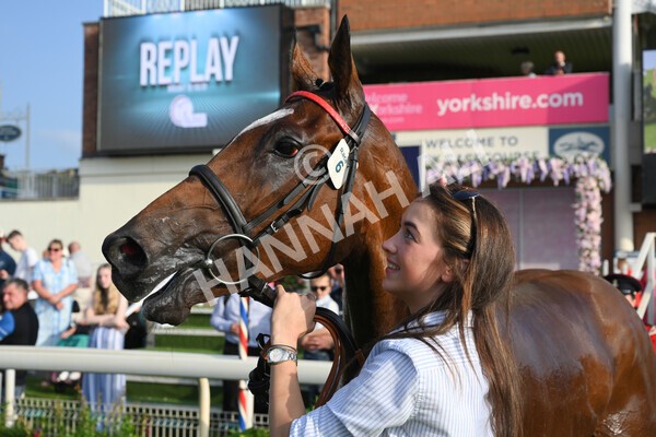 yr05092021r7-54 - Race 7 5.10pm Yorkshire Regiment Stakes