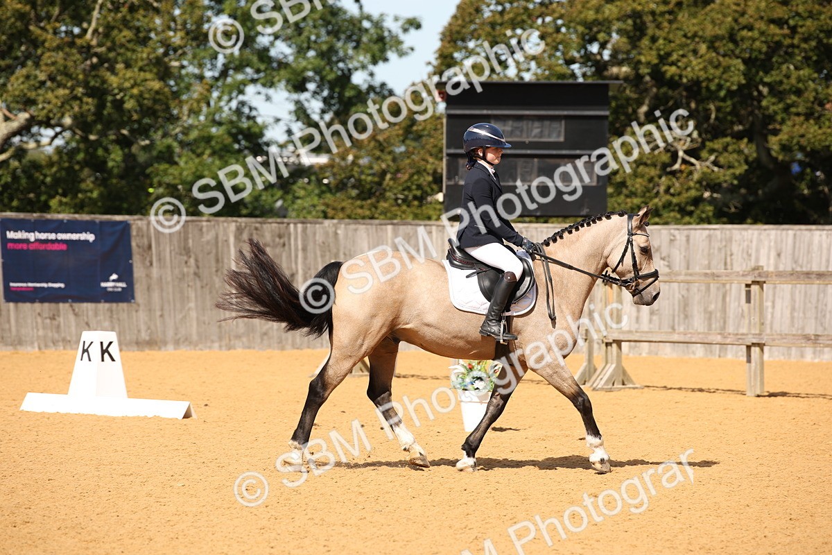 SBM_21701 - D5 - Small Tour Championship - Intro C