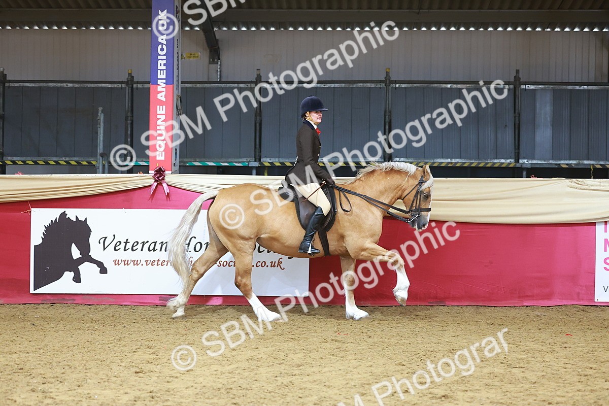 SBM_09411 - Class 102 - HOYS Veteran Qualifier - Ridden Veteran