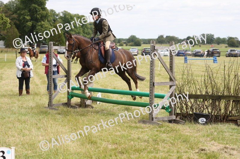 20260614-2860 - Class 22 - Open Working Hunter