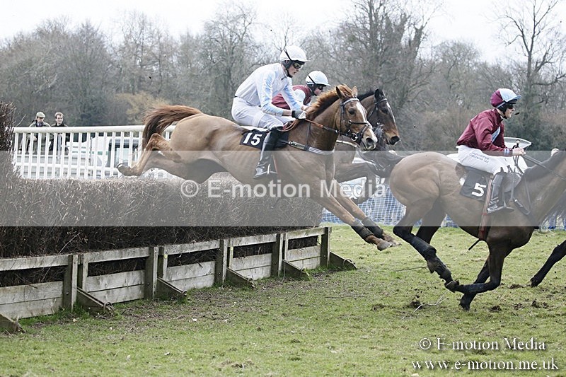 PtP 110318 572 - Hampshire Hunt Point-to-Point Hackwood Park 11/03/18