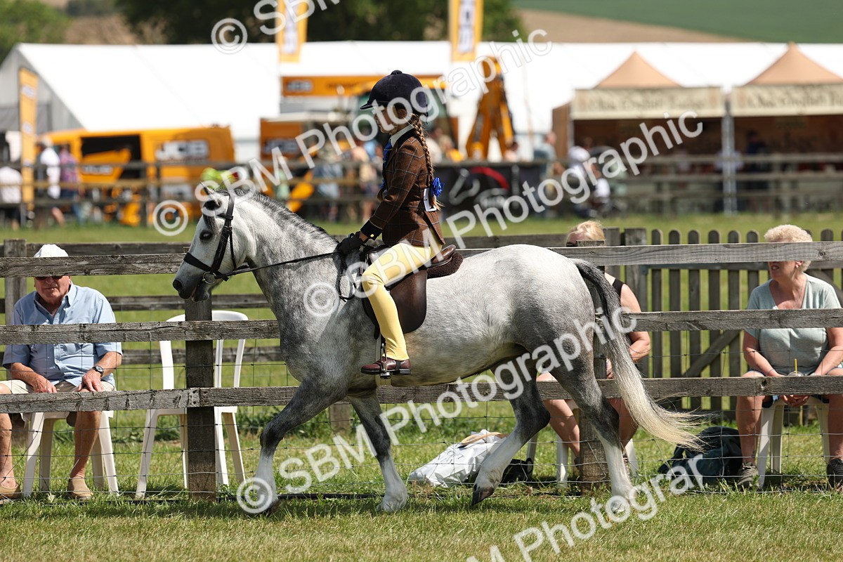 SBM_05339 - Class 24-25 - Mountain & Moorland In Hand Lead Rein and First Ridden