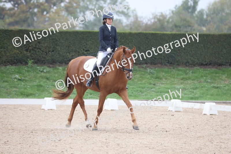 20251012-0652 - Class 5 - Elementary 5