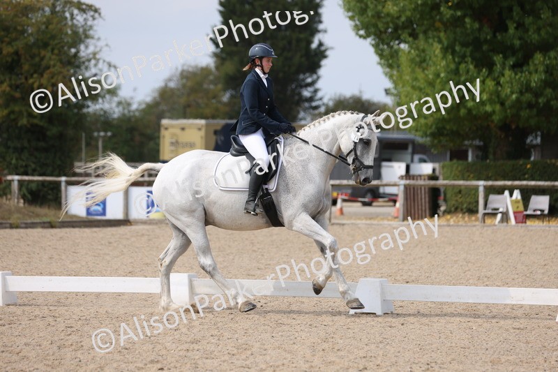 20250819-1547 - Class 5 - Novice 3