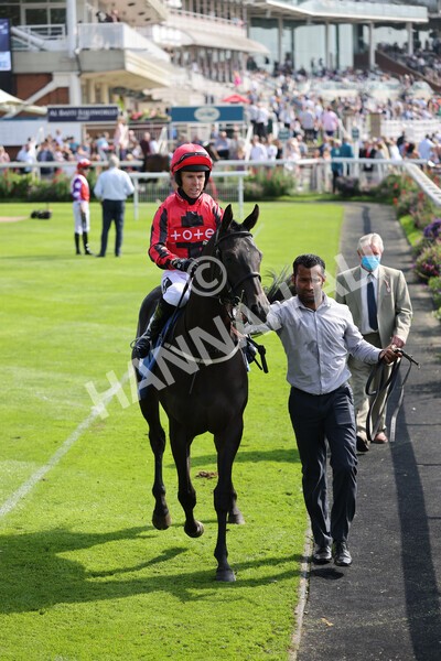 yr05092021r1-12 - Race 1 2.10pm IRE-Incentive It Pays To Buy Irish ebfstallions.com Novice Stakes