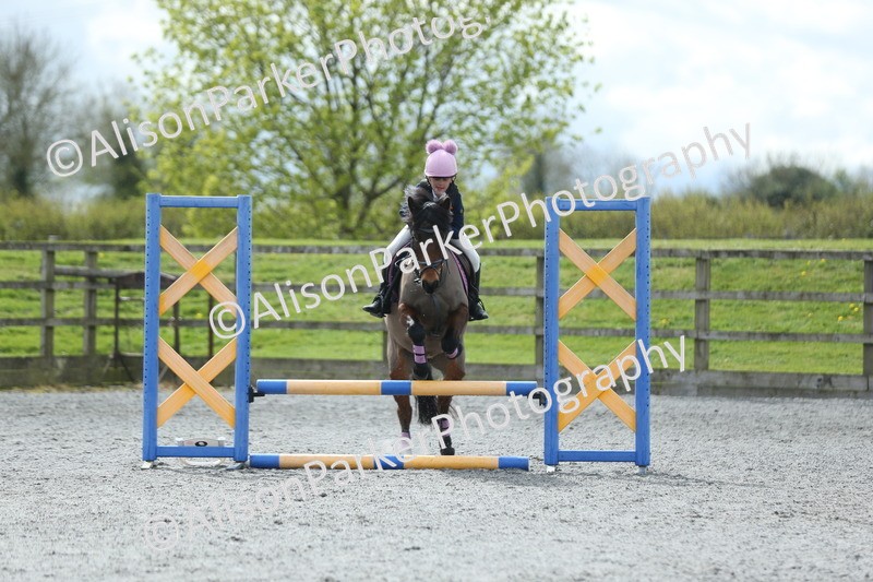 20260412-1757 - Show Jumping