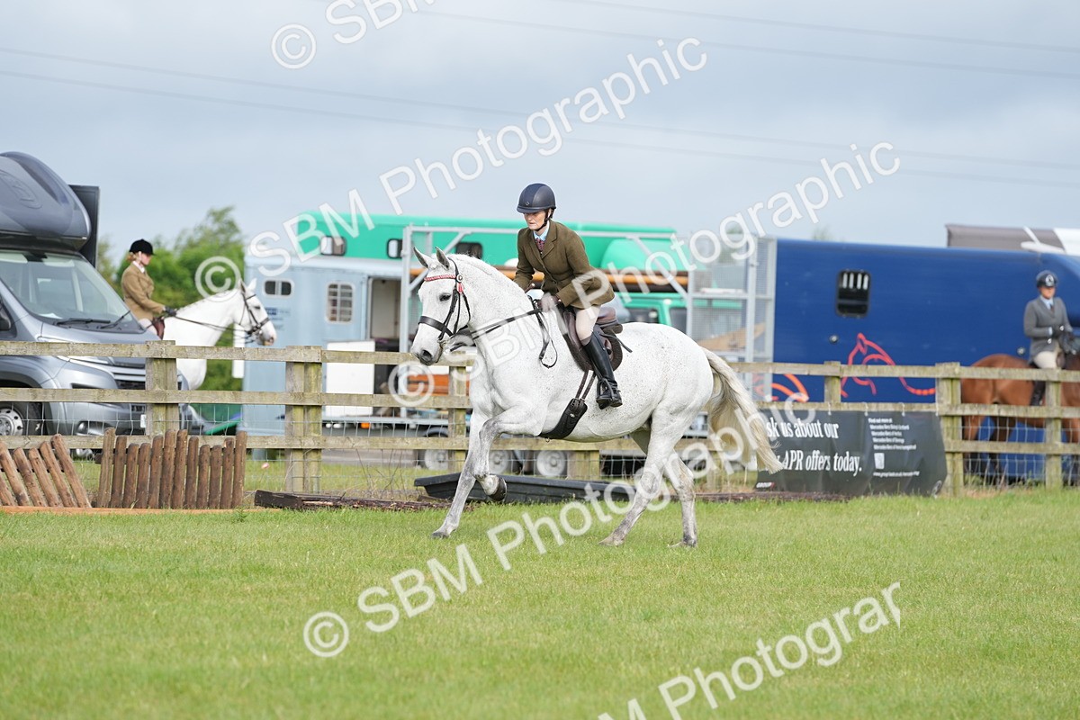 SBM_10592 - Class 97-98 - LIHS BSHA Rising Star Working Show Horse Hunter