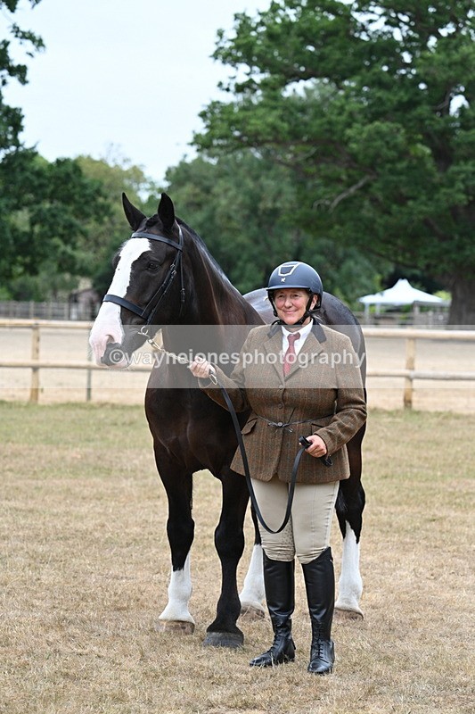 WJ7_0126 - Class 5a Most Handsome Gelding (above 14.2hh)