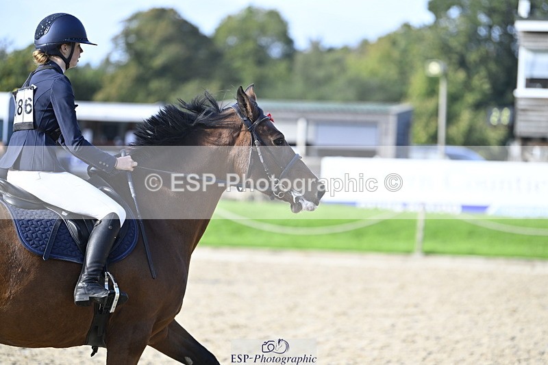 251005A-161515-05042 - Cls 10 Int 90-95cm