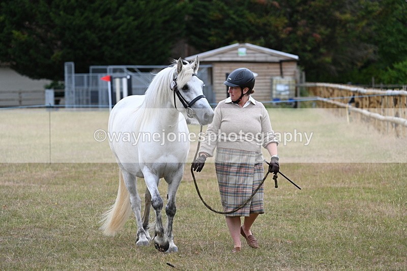 WJ7_9024 - Class 4a Prettiest Mare 14.2hh and over
