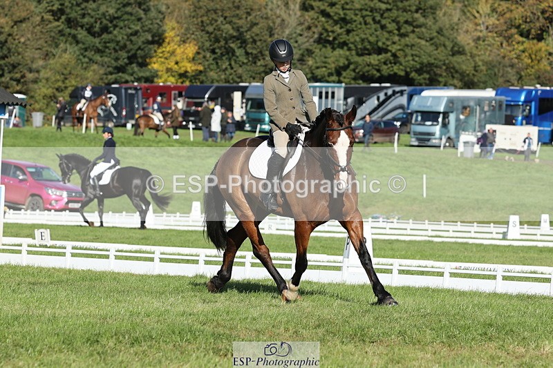 251024A-111956-09954 - D-351-Thomas.Harris