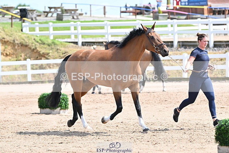 240717A-150427-02506 - Trot Up 3pm to 4pm