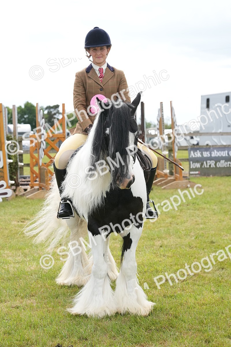 SBM_17330 - Class 107-108 - LIHS BSPS Performance Coloured Horse Pony