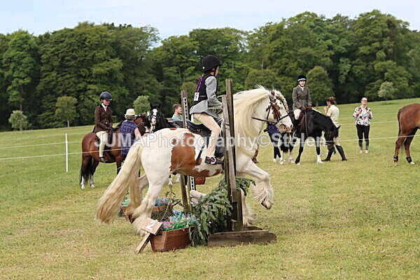 IMG_2437 - Working Hunter