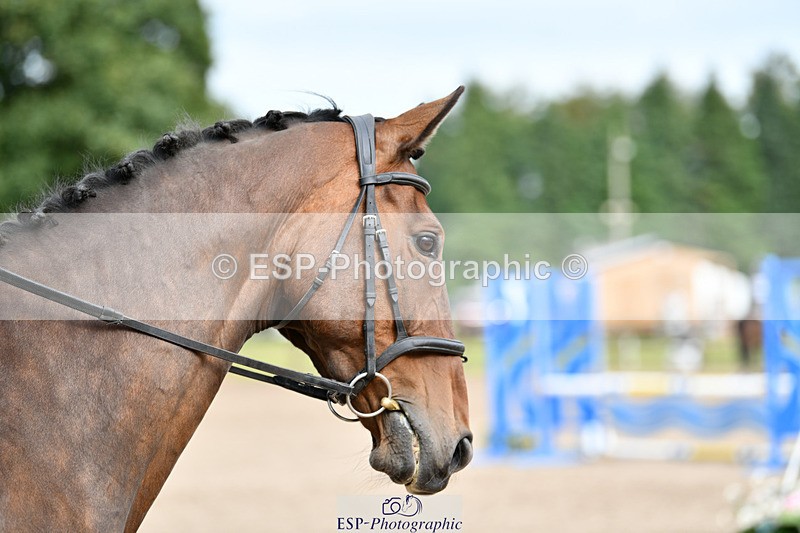 240825X-161422-36800 - 80cm SJ 16.00 to 17.26