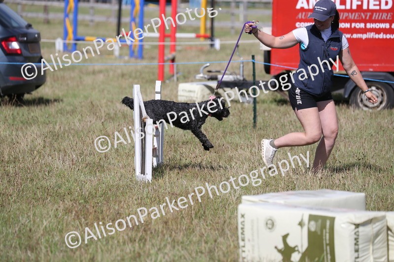 20260906-3449 - Class 34 - Dog Agility